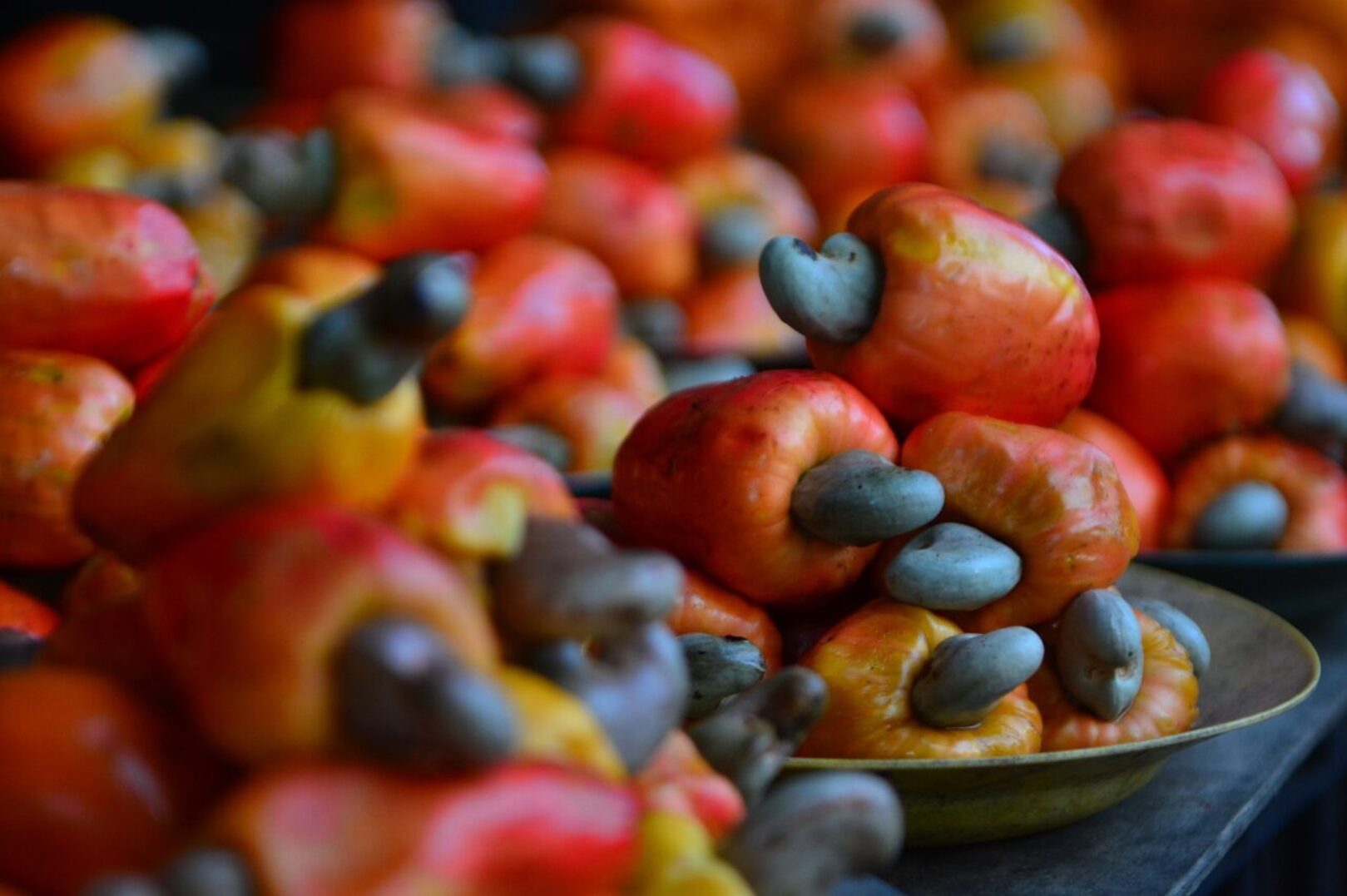 Côte d’Ivoire confirms its position as the world’s leading raw cashew producer